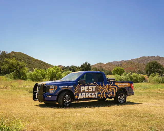 Pest Arrest — photo from the business 1