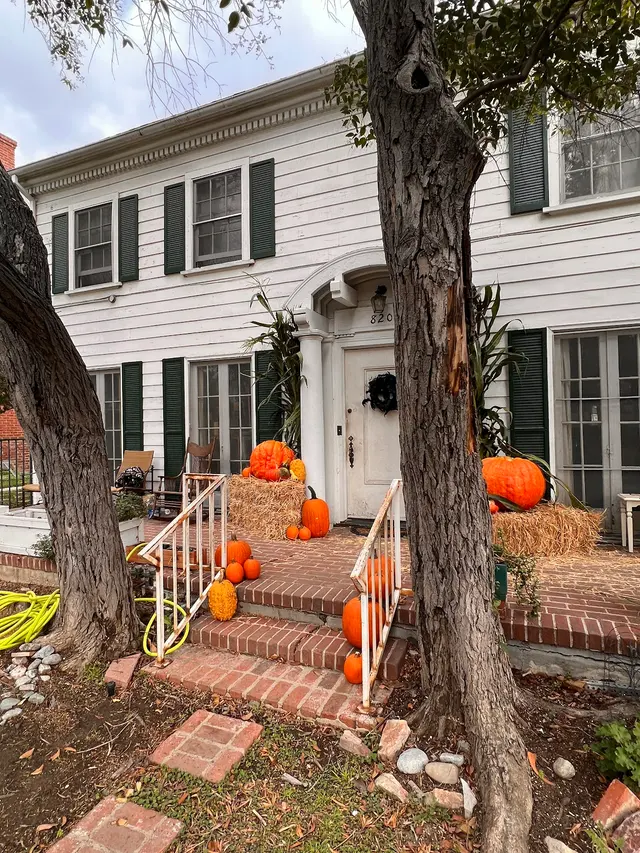 Excel Pest Management — customer photo 8