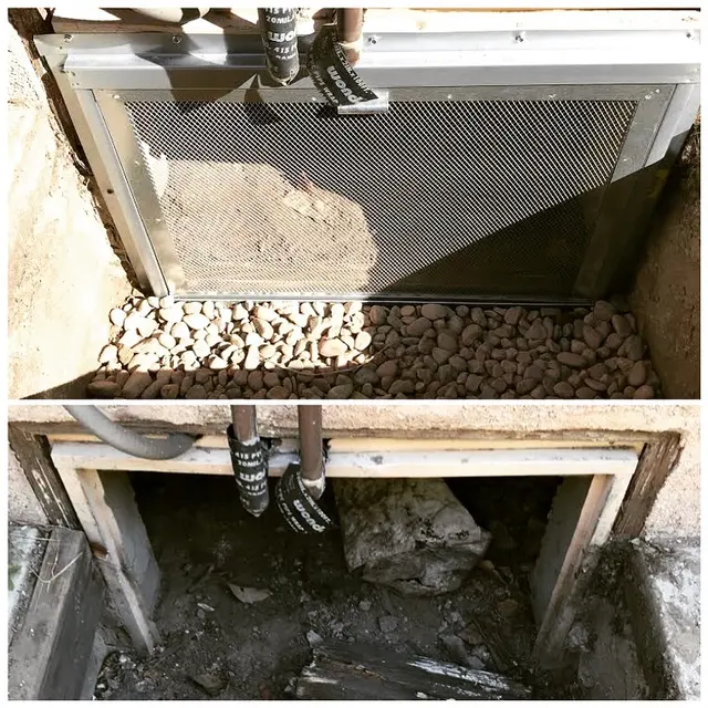 Excel Pest Management — photo from the business 9