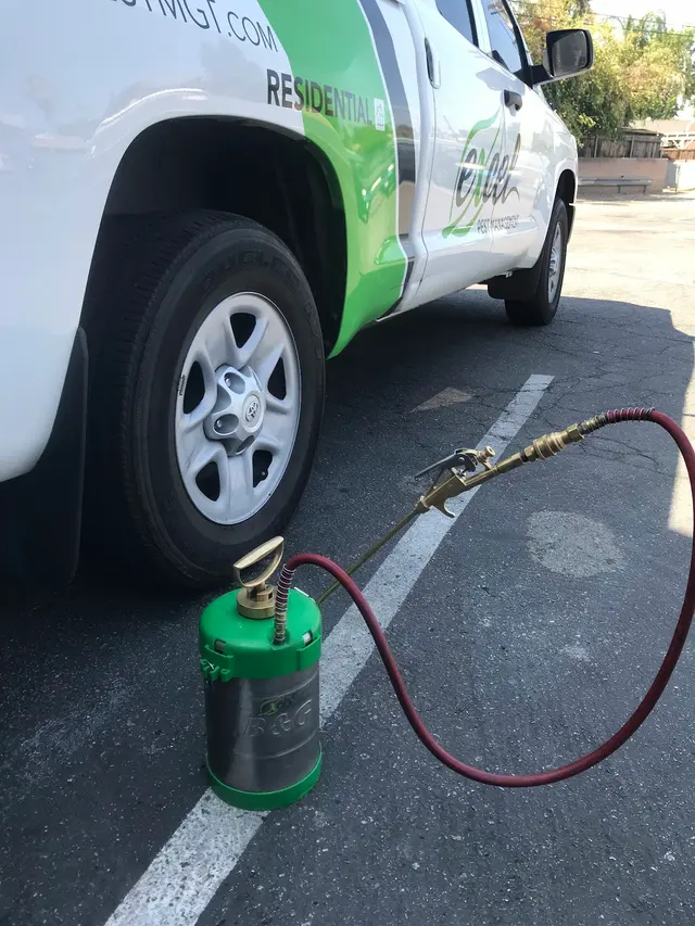 Excel Pest Management — photo from the business 4