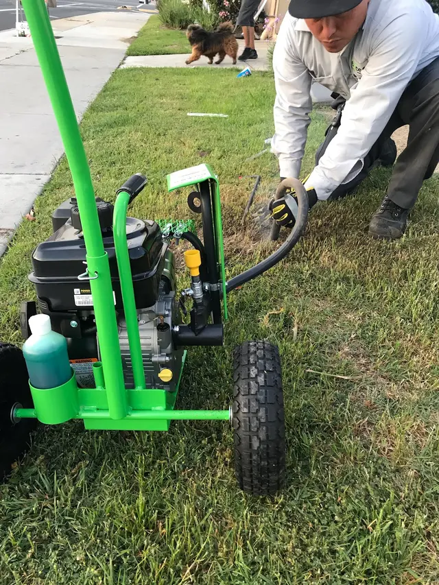 Excel Pest Management — photo from the business 2