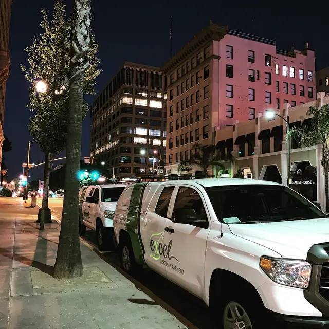 Excel Pest Management — photo from the business 1