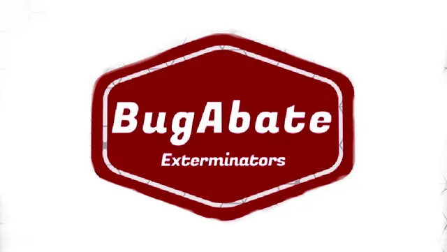 BugAbate Exterminators — photo from the business 8