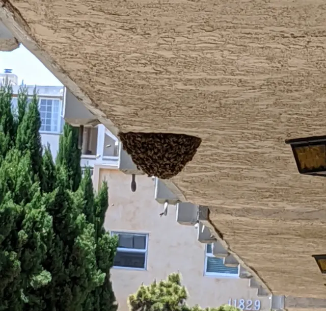 BugAbate Exterminators — photo from the business 2