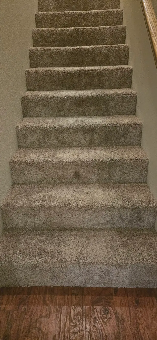 Clean Master Carpet Cleaning — customer photo 9