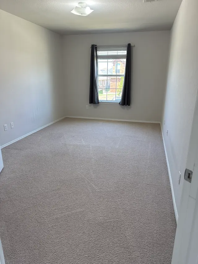 Clean Master Carpet Cleaning — customer photo 11