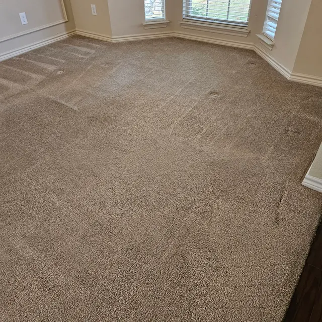 Clean Master Carpet Cleaning — customer photo 2