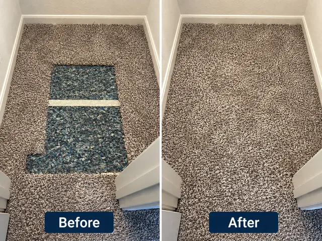 Quality Care Carpet Cleaning — photo from the business 2