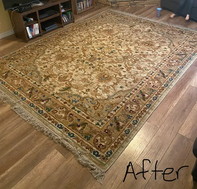 Customer photo from Lauren's review