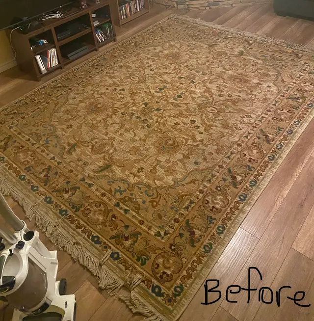 Customer photo from Lauren's review