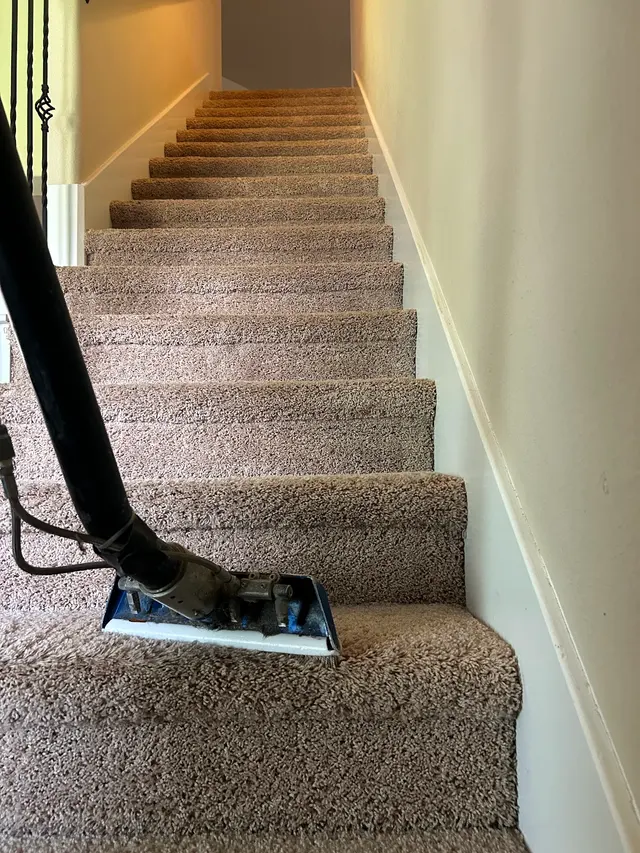 Quality Care Carpet Cleaning — photo from the business 9