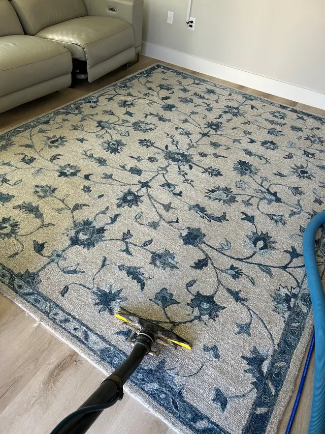 Quality Care Carpet Cleaning — photo from the business 3