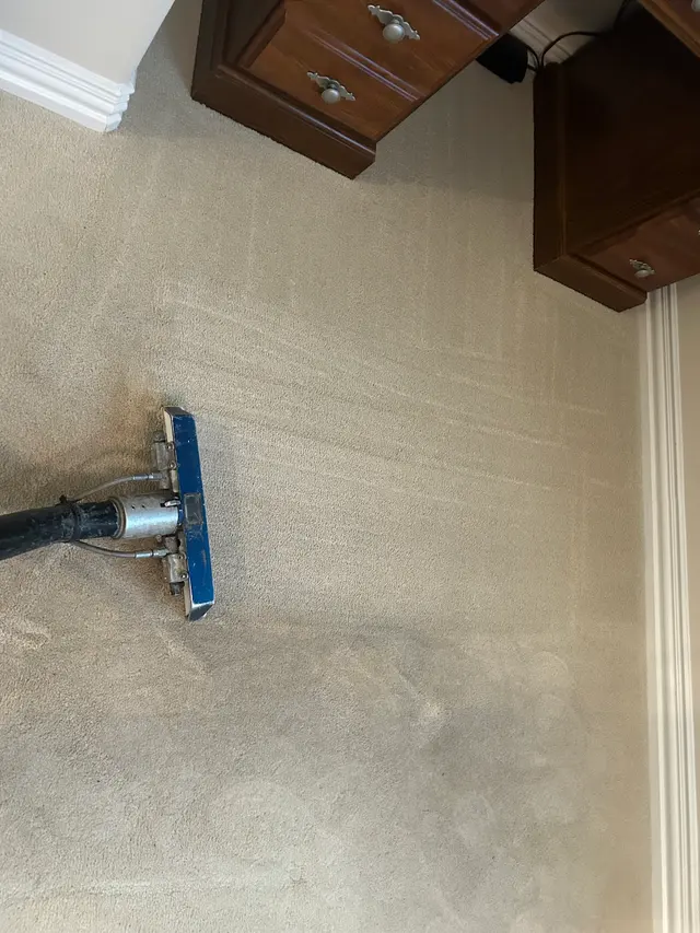 Quality Care Carpet Cleaning — photo from the business 1