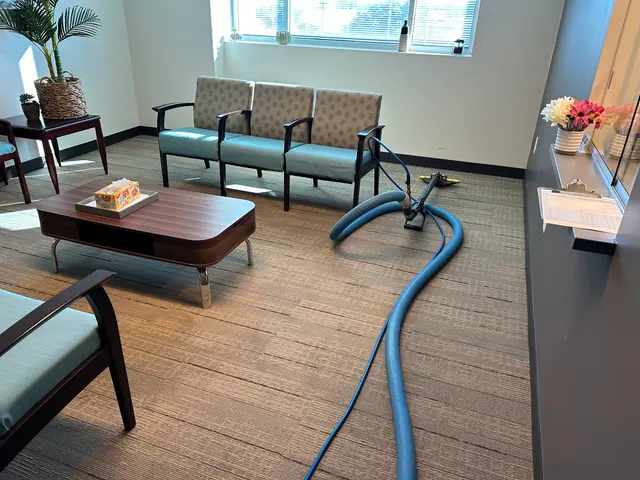 Quality Care Carpet Cleaning — photo from the business 12