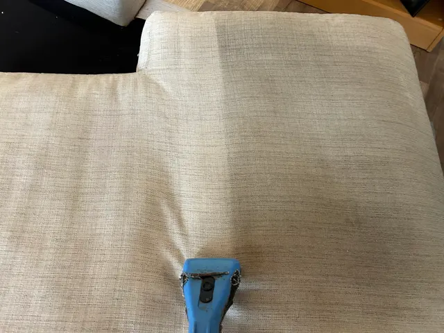 Quality Care Carpet Cleaning — photo from the business 7