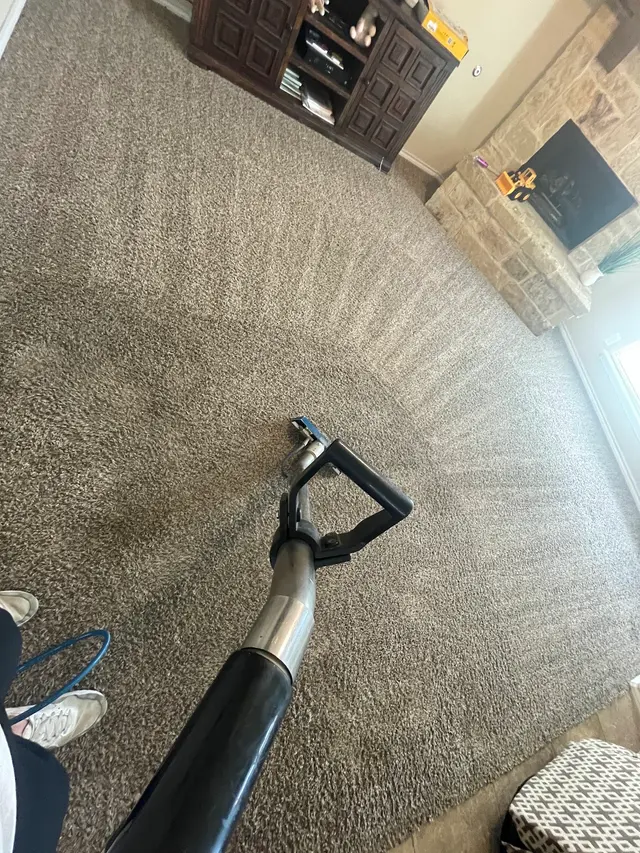 Lloyd Carpet Cleaning — photo from the business 3