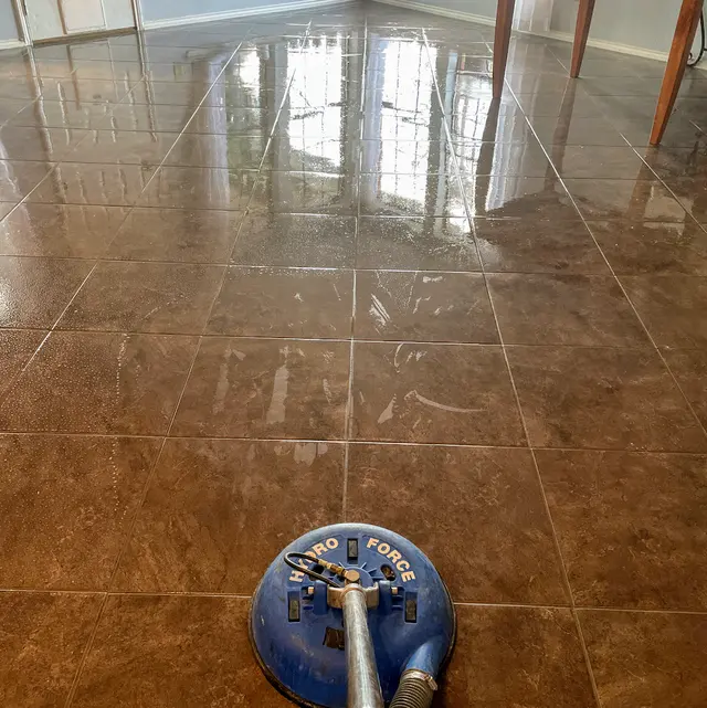 Lloyd Carpet Cleaning — photo from the business 9