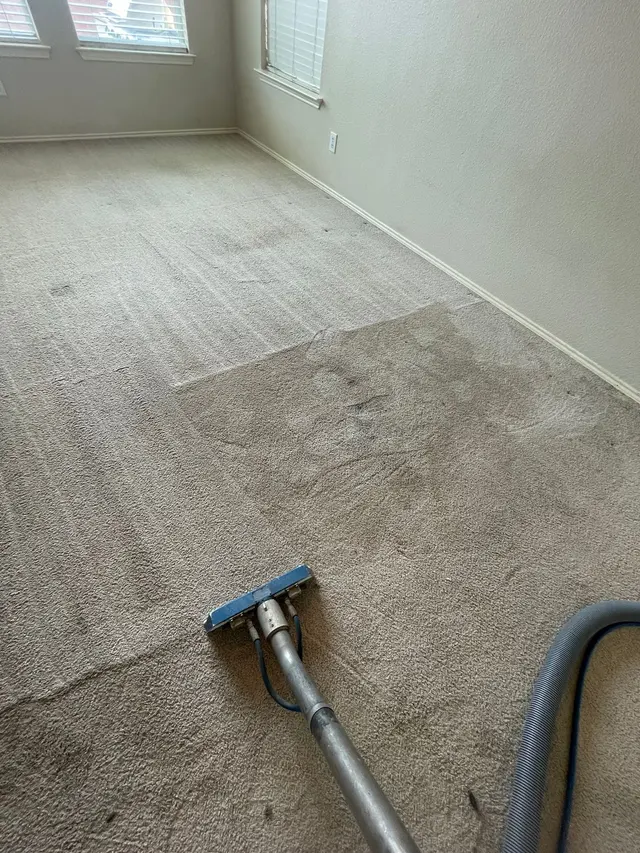 Lloyd Carpet Cleaning — photo from the business 2