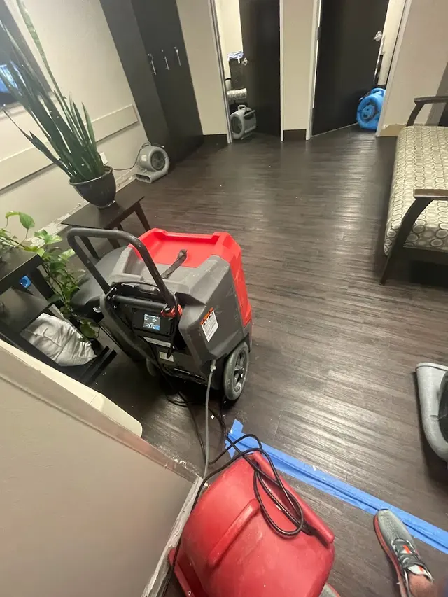 Lloyd Carpet Cleaning — photo from the business 10