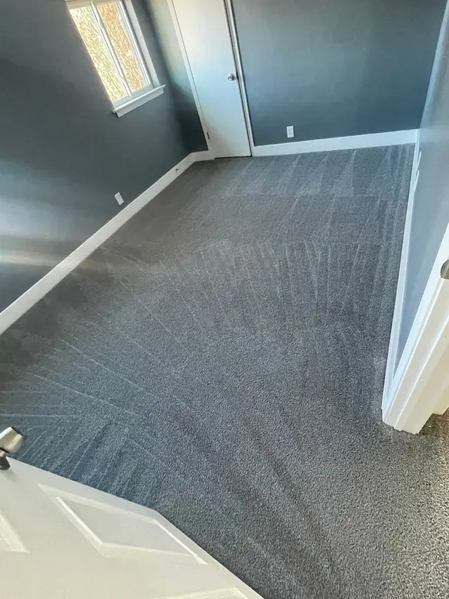 Lloyd Carpet Cleaning — photo from the business 1