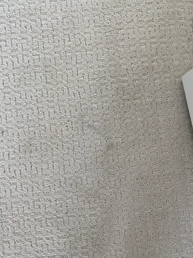 Oxi Fresh Carpet Cleaning — customer photo 5