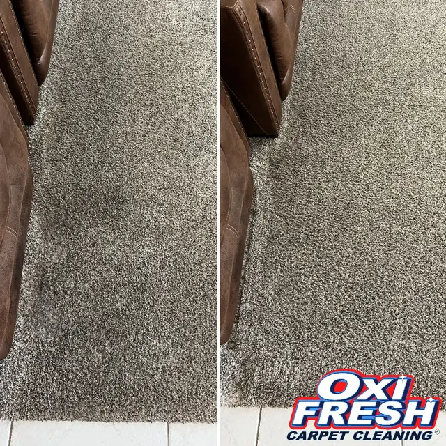 Oxi Fresh Carpet Cleaning — photo from the business 12