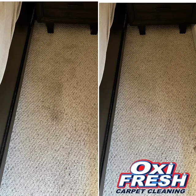 Oxi Fresh Carpet Cleaning — photo from the business 10