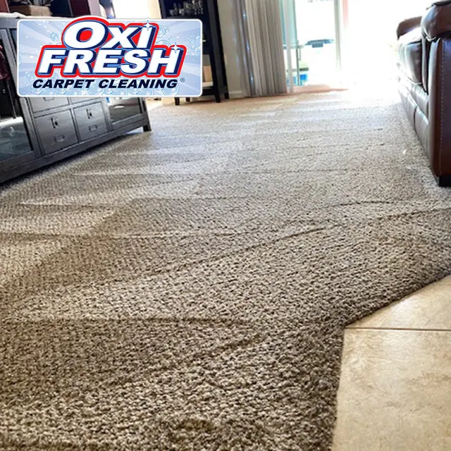 Oxi Fresh Carpet Cleaning — photo from the business 2