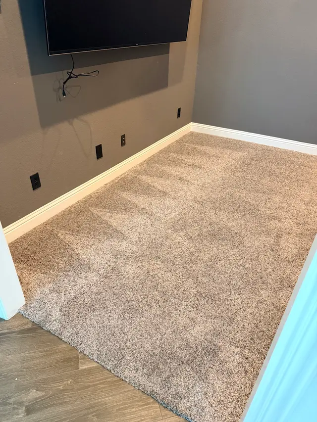 Customer photo of work by Oxi Fresh Carpet Cleaning, from Heidi Marsh -Realtor's review