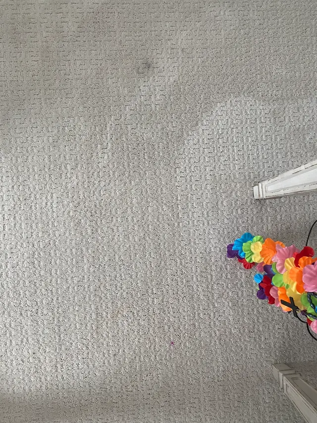 Oxi Fresh Carpet Cleaning — customer photo 8