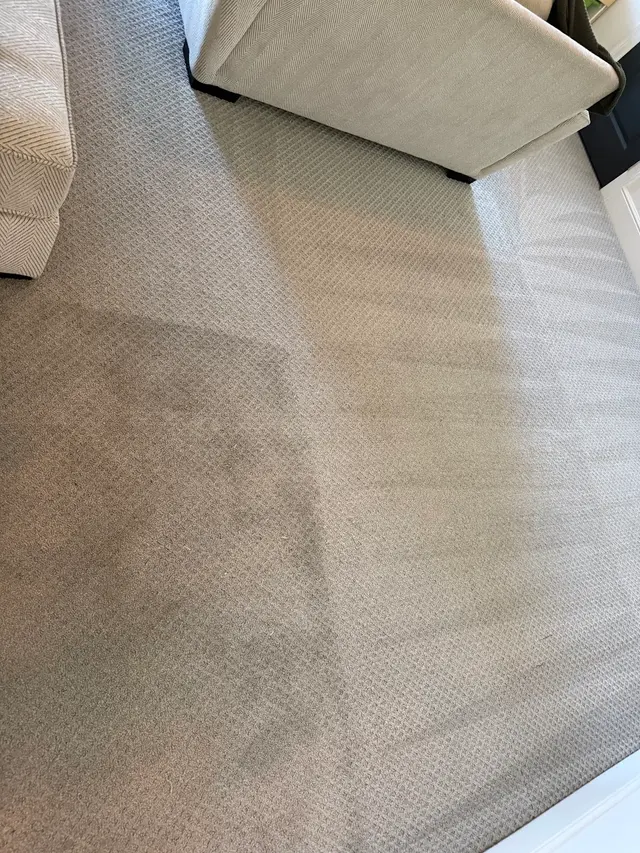 Squeaky Clean Carpet Cleaning and Janitorial Services Inc. — photo from the business 8