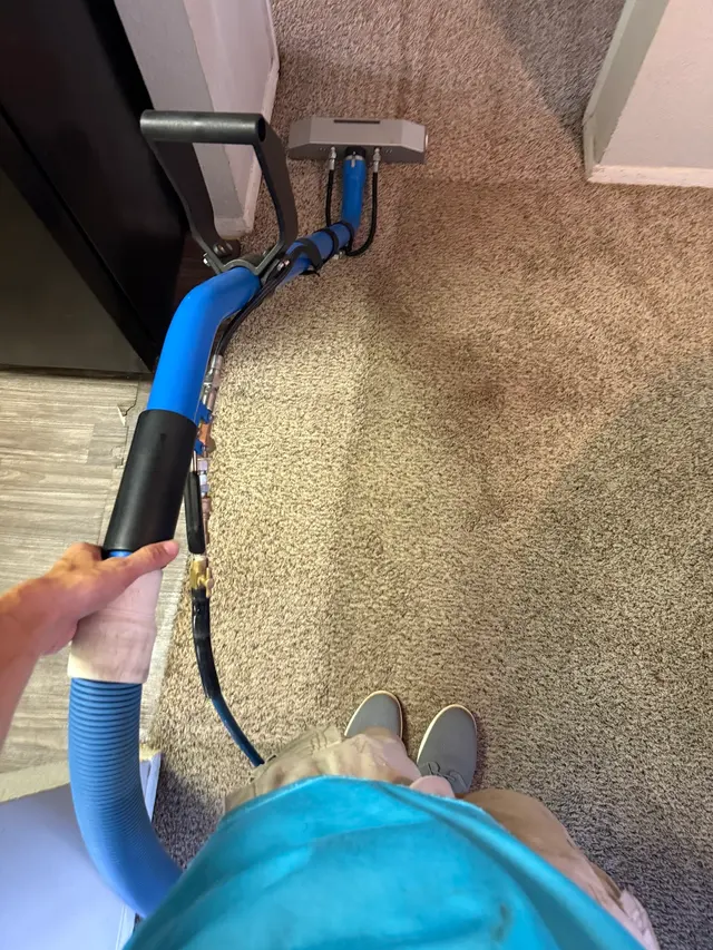 Squeaky Clean Carpet Cleaning and Janitorial Services Inc. — customer photo 9