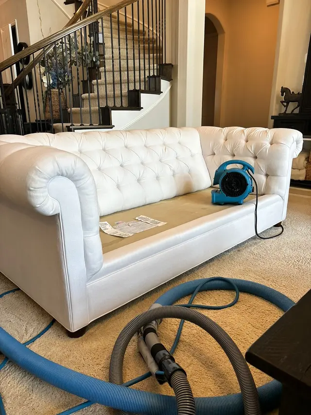 Squeaky Clean Carpet Cleaning and Janitorial Services Inc. — photo from the business 11