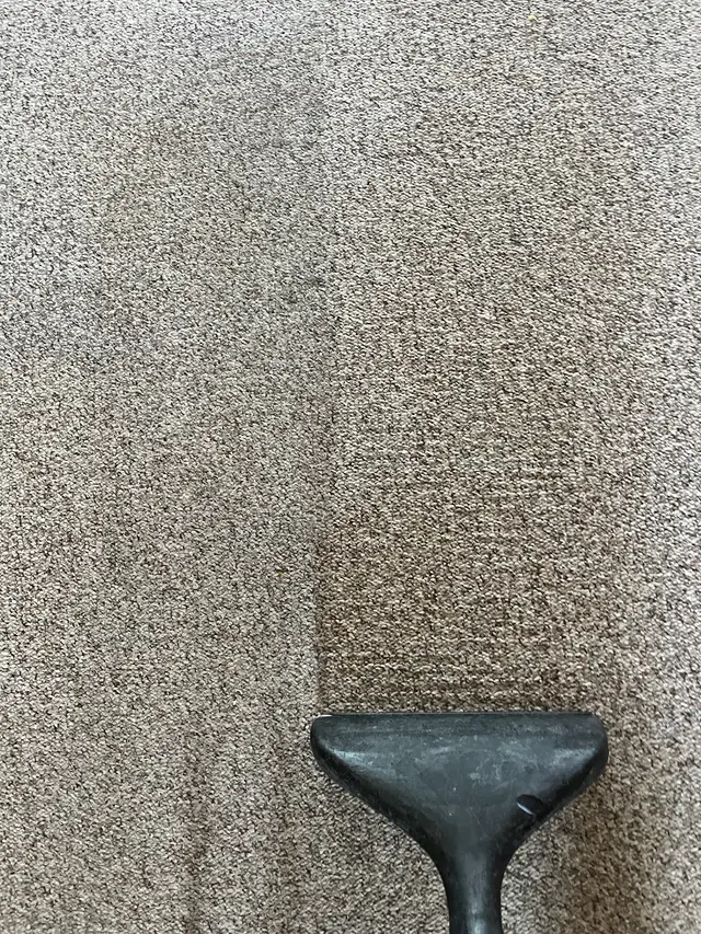 Good Neighbor Carpet Cleaning & Restoration LLC — photo from the business 5