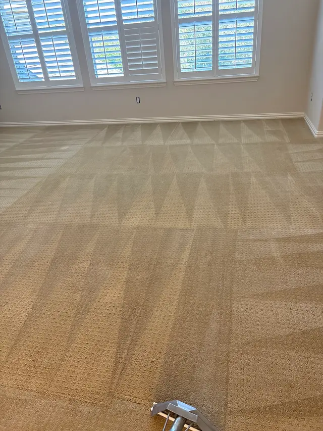 Good Neighbor Carpet Cleaning & Restoration LLC — photo from the business 2