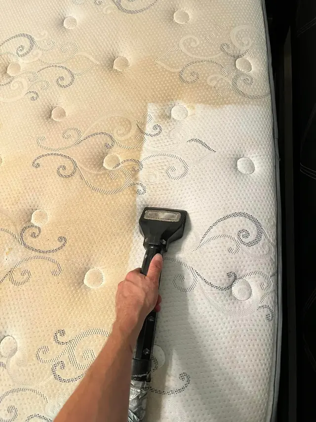Good Neighbor Carpet Cleaning & Restoration LLC — photo from the business 9