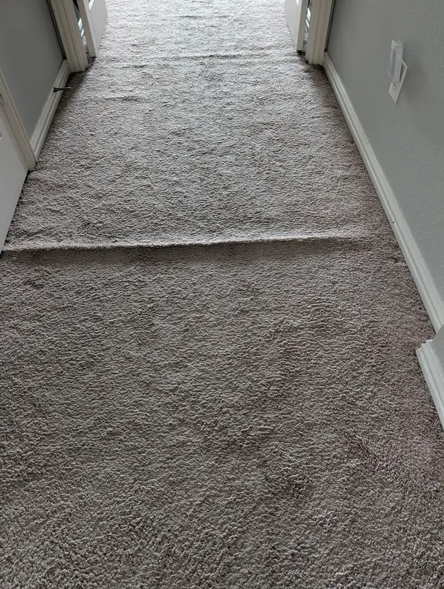 Customer photo of work by TLC Carpet Cleaning Inc - Carpet Cleaning Dallas, Fort Worth, from Joy Cox Coleman's review