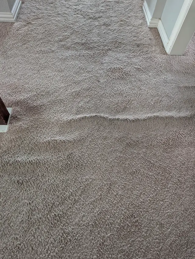 Customer photo of work by TLC Carpet Cleaning Inc - Carpet Cleaning Dallas, Fort Worth, from Joy Cox Coleman's review