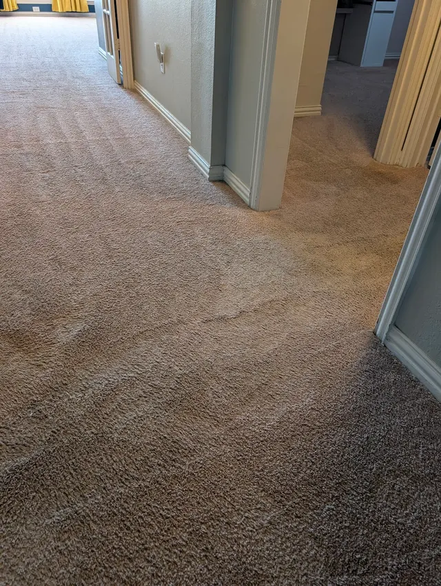 Customer photo of work by TLC Carpet Cleaning Inc - Carpet Cleaning Dallas, Fort Worth, from Joy Cox Coleman's review
