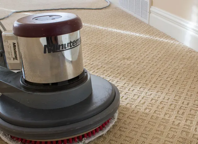 Heaven's Best Carpet & Upholstery Cleaning — photo from the business 4