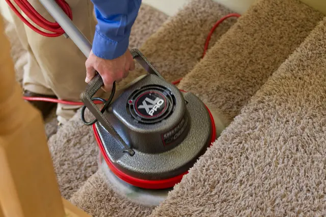 Heaven's Best Carpet & Upholstery Cleaning — photo from the business 3