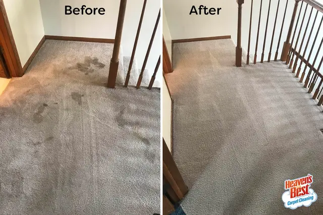 Heaven's Best Carpet & Upholstery Cleaning — photo from the business 10