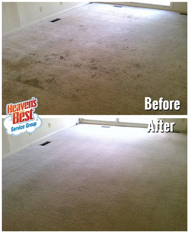 Heaven's Best Carpet & Upholstery Cleaning — photo from the business 12