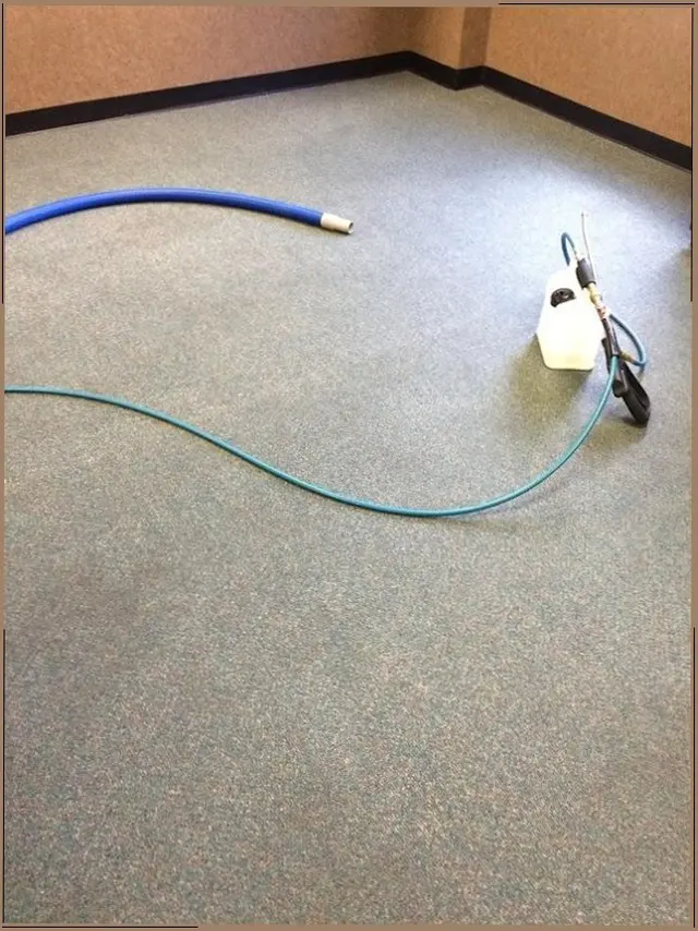 ECO GREEN CARPET CLEANING TX — customer photo 10
