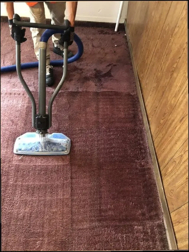 ECO GREEN CARPET CLEANING TX — customer photo 7