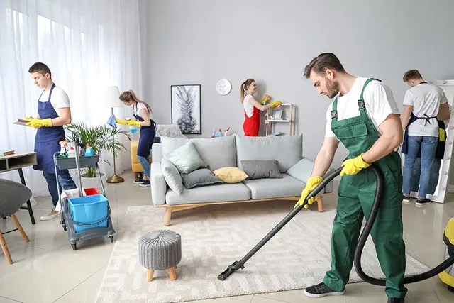 ECO GREEN CARPET CLEANING TX — photo from the business 3