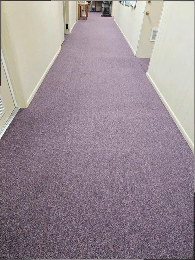 ECO GREEN CARPET CLEANING TX — customer photo 2