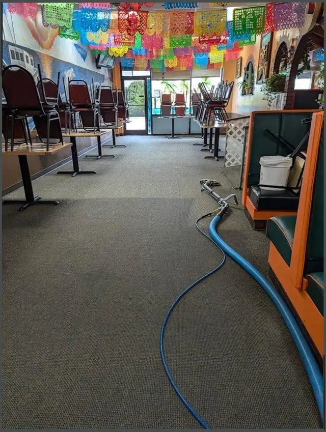 ECO GREEN CARPET CLEANING TX — customer photo 8