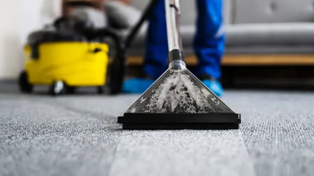 ECO GREEN CARPET CLEANING TX — photo from the business 4