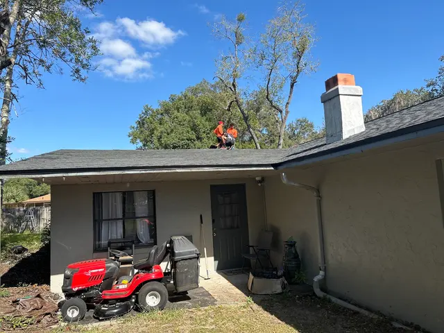 Customer photo from Mantell's review